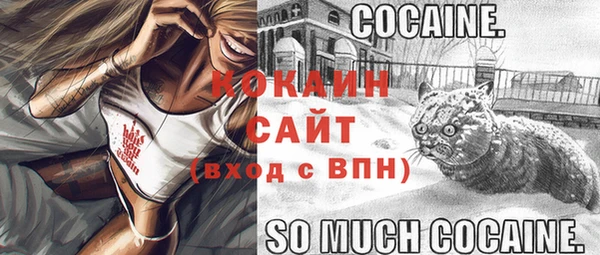 первитин Михайлов