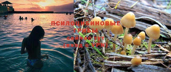 первитин Михайлов